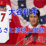 【年俸300万ドル】大谷翔平選手のふるさと納税の限度額は？【ふるさと納税】